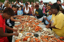 Panacea Blue Crab Festival